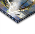 Swamp Life - Rocky River Reservation Acrylic print