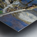 Swamp Life - Rocky River Reservation Metal print