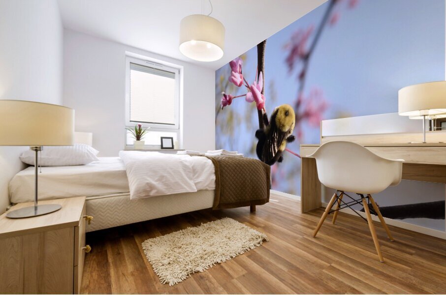 Bee on Eastern Redbud - Wintergarden Park Mural print