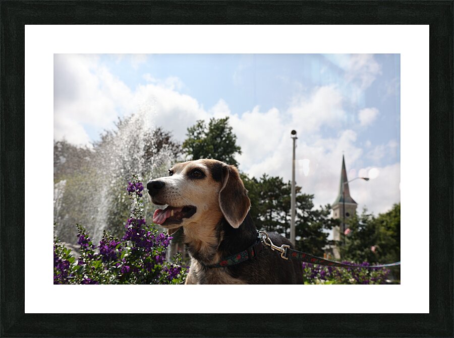 Dixie Picture Frame print