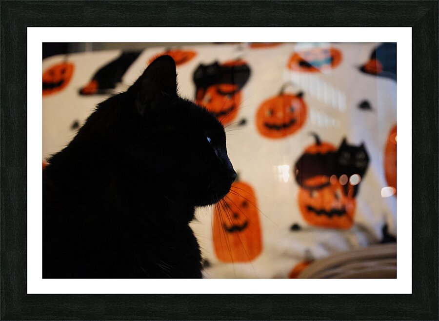 Draco Meowfoy Picture Frame print