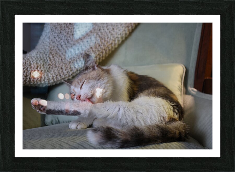 Kiara Picture Frame print