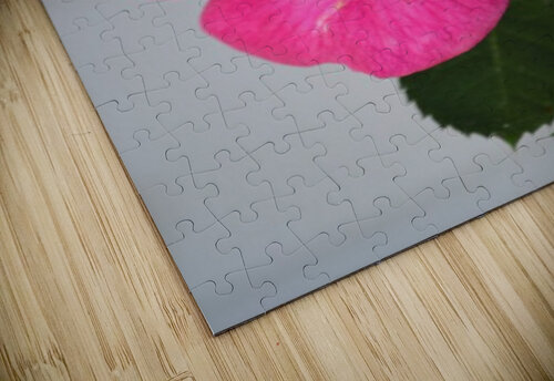17 Michaela Bee Photography puzzle