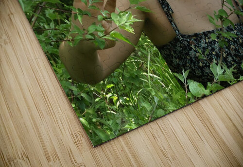 Eve Michaela Bee Photography puzzle