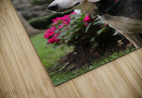 Dixie Michaela Bee Photography puzzle