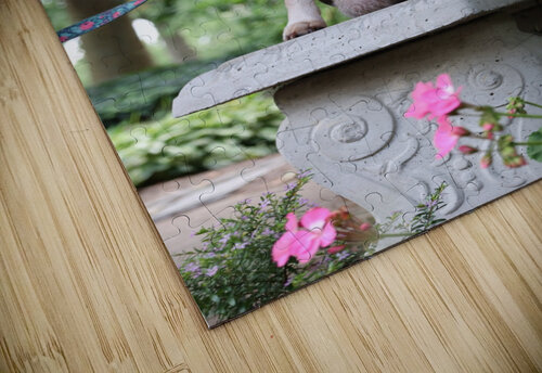 Dixie Michaela Bee Photography puzzle