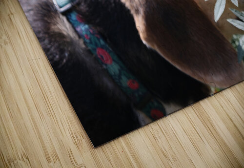 Dixie Michaela Bee Photography puzzle