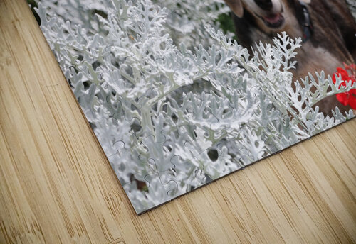 Dixie Michaela Bee Photography puzzle