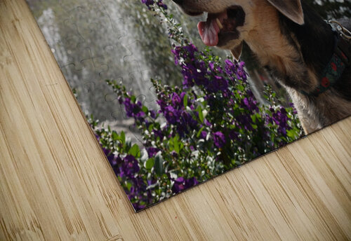 Dixie Michaela Bee Photography puzzle