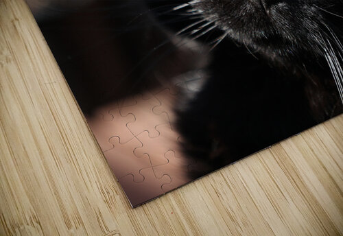 Draco Michaela Bee Photography puzzle