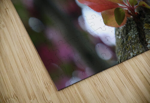 Crabapple Blossoms Michaela Bee Photography puzzle