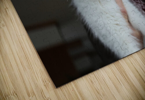 Kiara Michaela Bee Photography puzzle