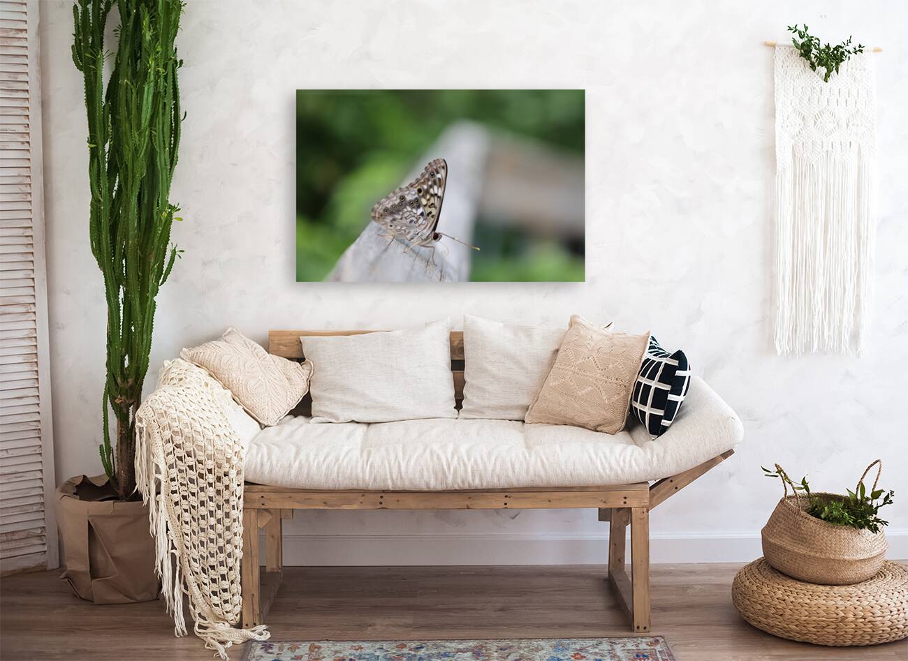 Hackberry Emperor Butterfly Reproduction