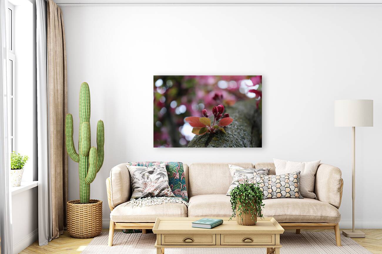 Crabapple Blossoms Reproduction