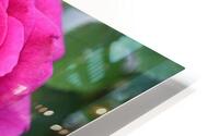 14 HD Metal print