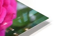 1 HD Metal print