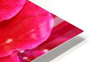 8 HD Metal print