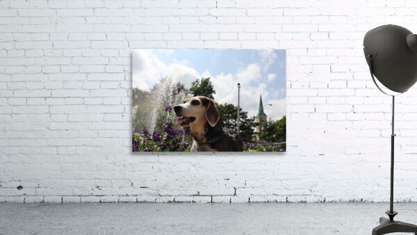 Dixie Wall Preview