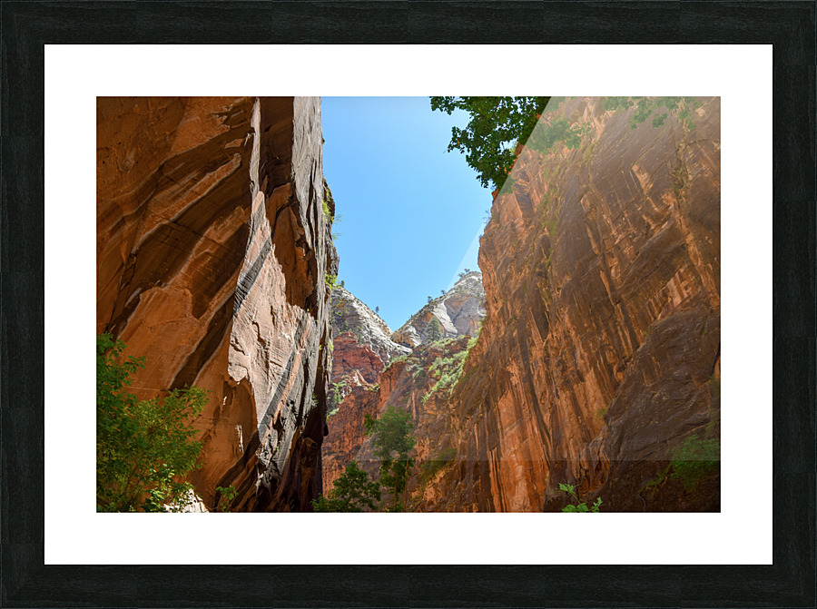 Utah Colos 2 Picture Frame print