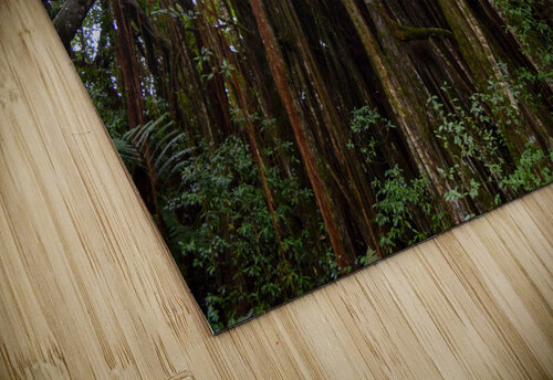 Hawaii Canopy Jen Lynnd Gallery puzzle