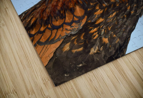 Nevada Rooster 2 Jen Lynnd Gallery puzzle