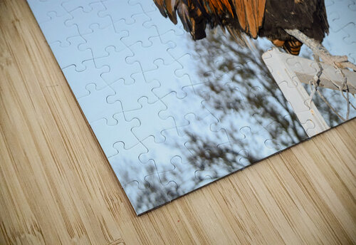 Nevada Rooster Jen Lynnd Gallery puzzle