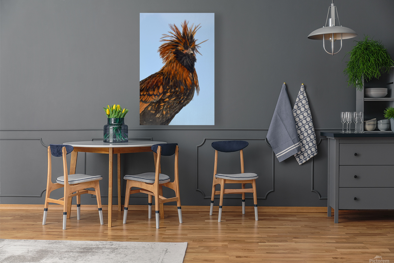 Nevada Rooster 2 Reproduction