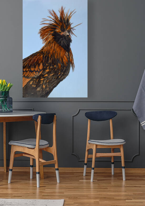 Nevada Rooster 2 by Jen Lynnd Gallery