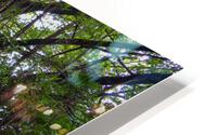 Hawaii Canopy HD Metal print