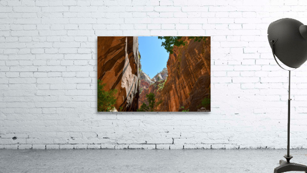 Utah Colos 2 Wall Preview
