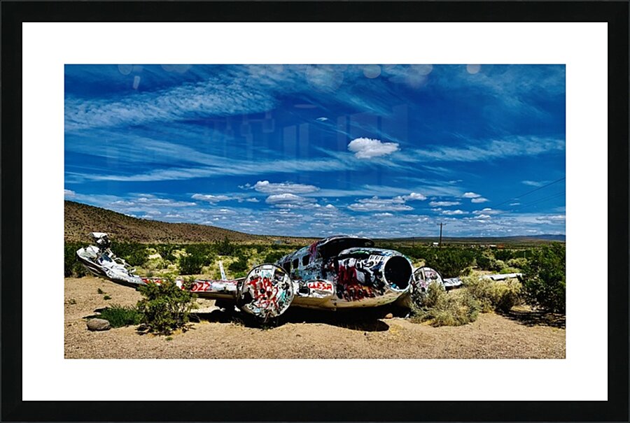 Tattooed Plane NV Picture Frame print