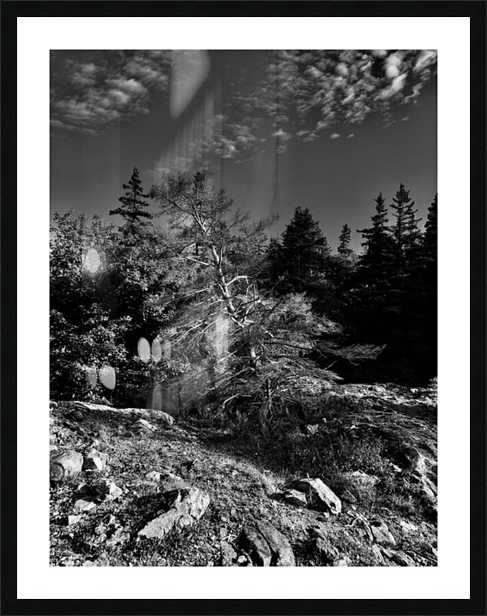  Fine Art print