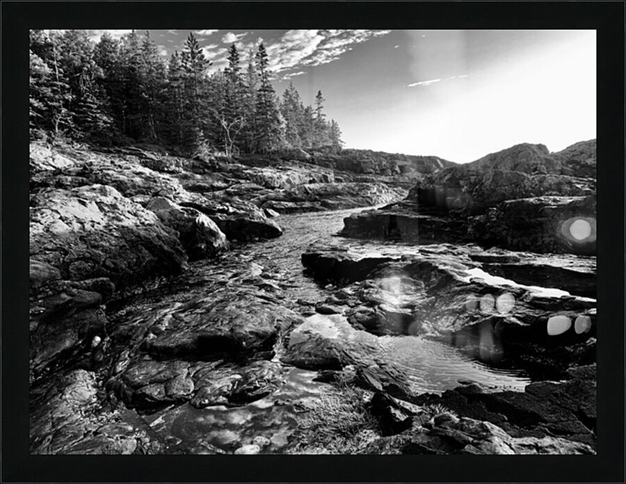 Fine Art print