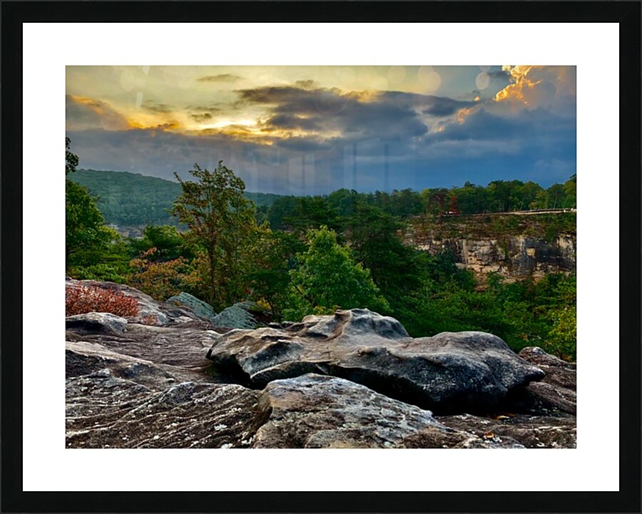  Fine Art print