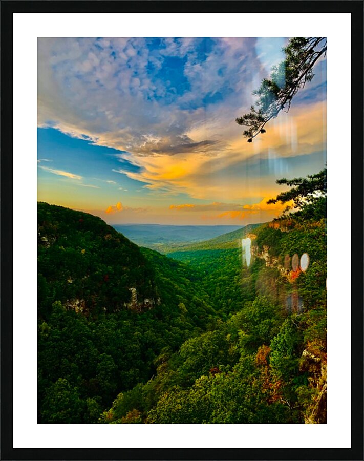 Fine Art print