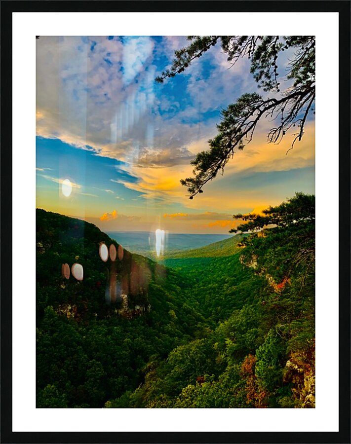  Fine Art print