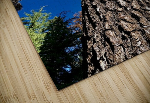 Tree Tower  Scott Pientka puzzle