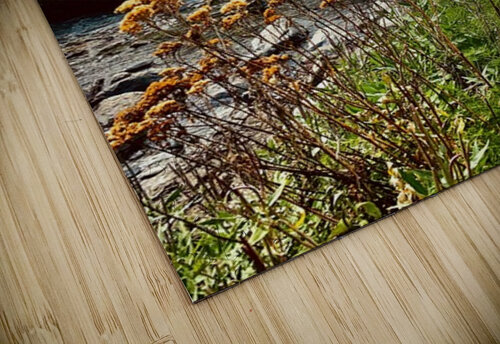 Creekside Alaska 2 Scott Pientka puzzle