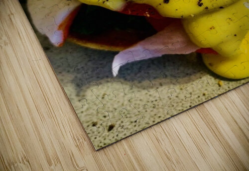 Poached Eggs Scott Pientka puzzle