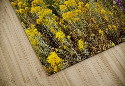 Desert Flowers Scott Pientka puzzle