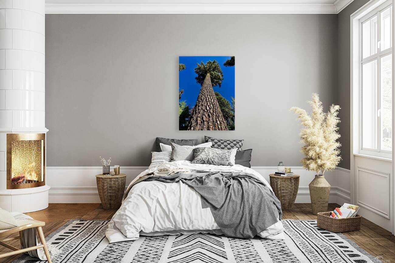 Tree Tower  Reproduction