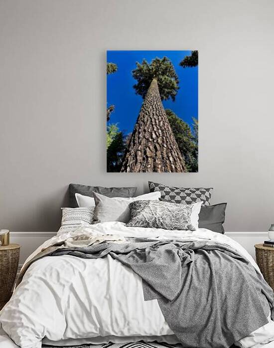 Tree Tower  Reproduction