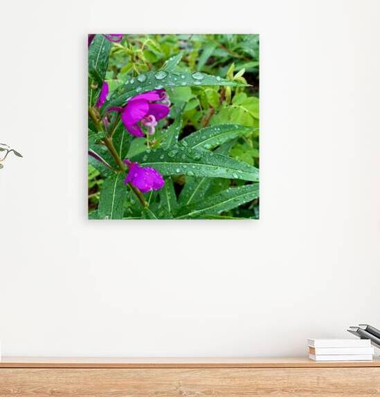 Flowers IMG 1979 Reproduction