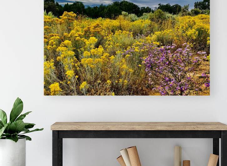 Desert Flowers Reproduction