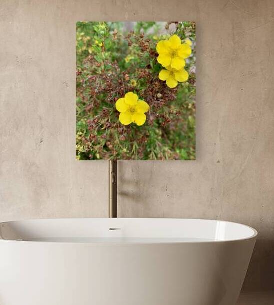 Yellow Flower 3 Reproduction