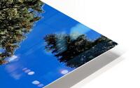Tree Tower  HD Metal print