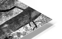 Stone Bridge HD Metal print