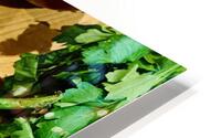 Pepper Mix Veggies Impression metal HD