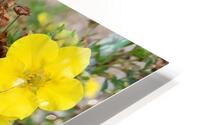 Yellow Flower 3 HD Metal print