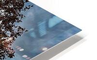 Glowing Tree HD Metal print
